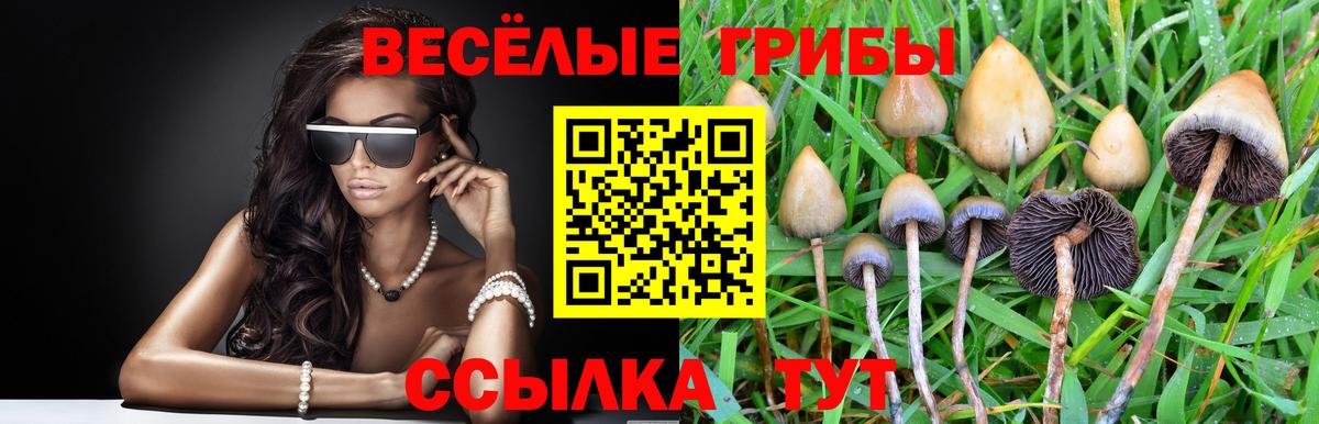 Галлюциногенные грибы мицелий  Вход с VPN  Волоколамск  Псилоцибиновые грибы мухоморы 